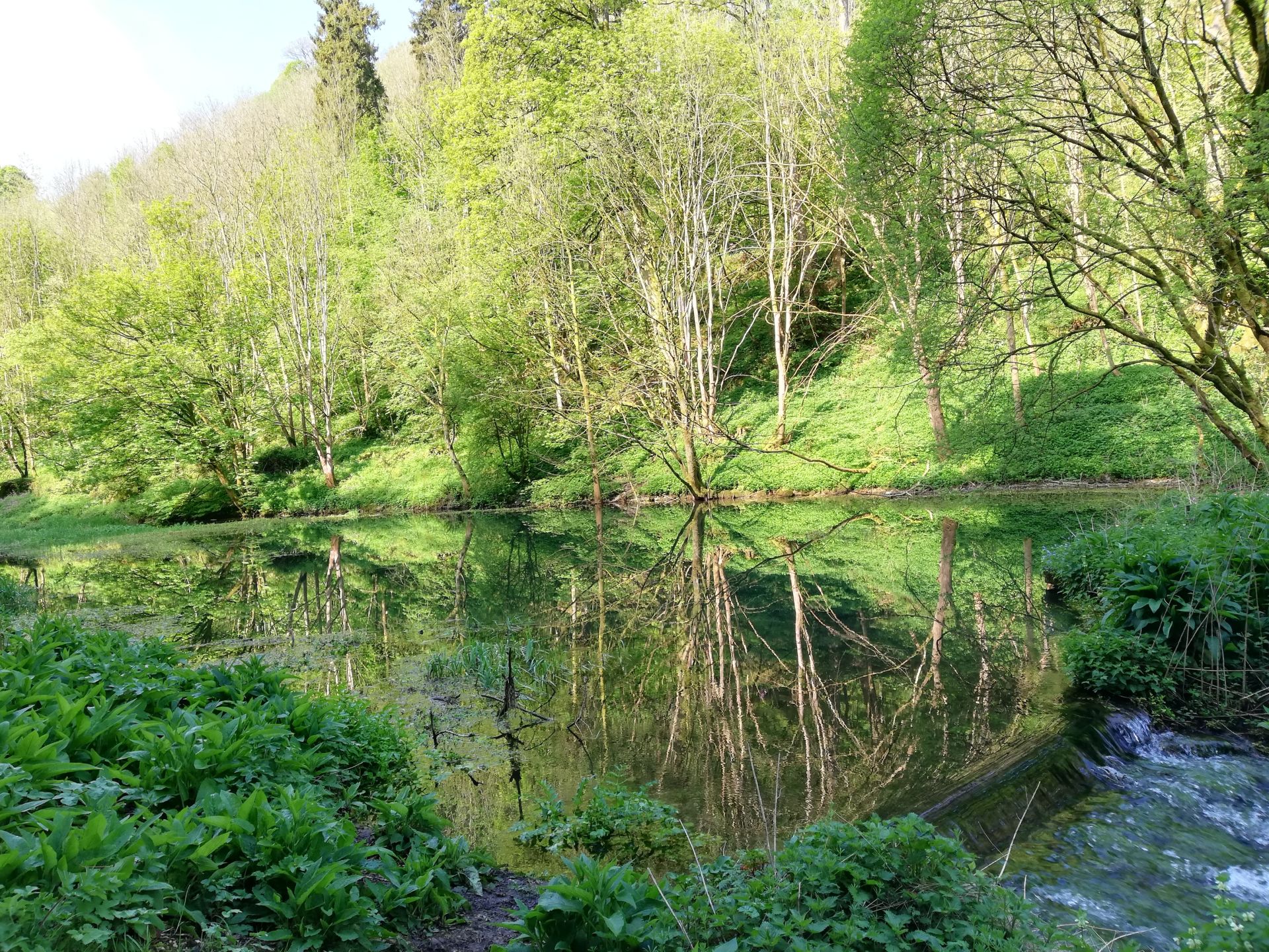 Middleton Dale